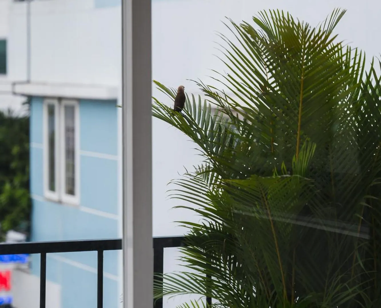 Apartment Nexus House Cay Diep Ho Chi Minh City